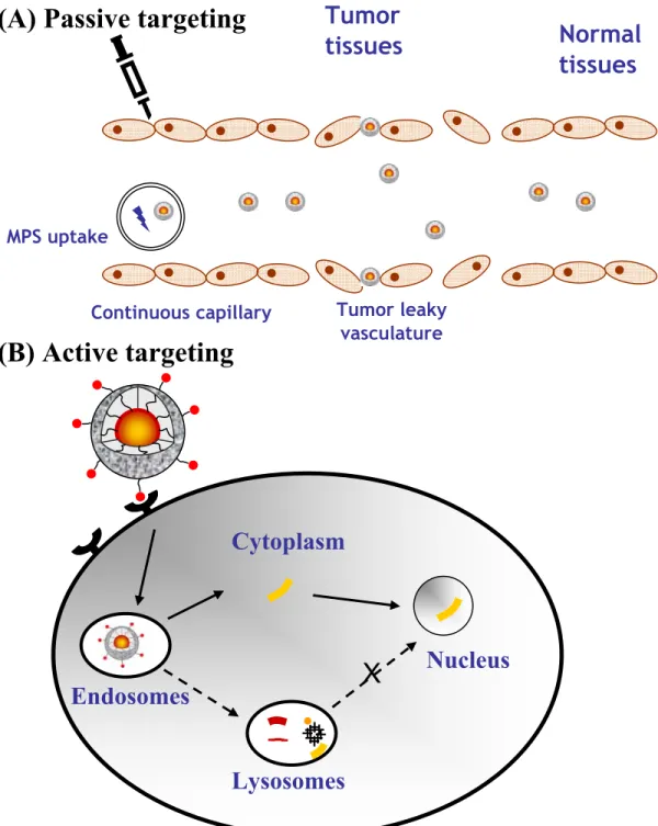 Figure 2. Passive (A) and active (B) targeting. In passive targeting, the non- non-functionalized micelles extravasate in tissues presenting leaky vasculatures (e.g