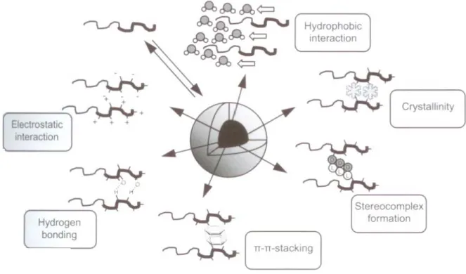 Figure 4. Interactions in the micellar core that enhance the kinetic stability of PM. 