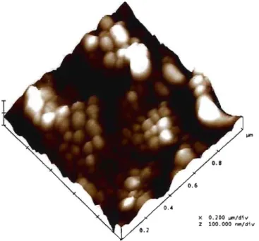 Figure 3.2.  Surface morphology ofNPs (formulation  10/:/)by AFM. 