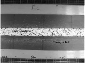 Fig. 4. Photograph of the binary powder layer as seen by the CCD camera.