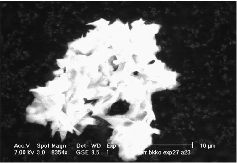Fig. 4. ESEM picture of a cocoa butter particle obtained with experiment #15.