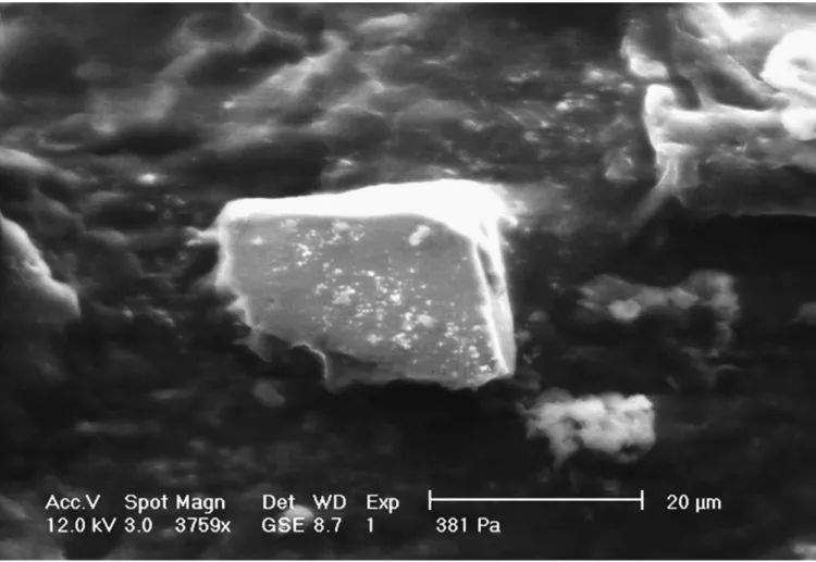 Fig. 5. ESEM picture of a cocoa butter particle obtained with experiment #5.