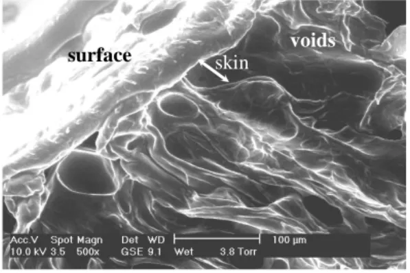 Figure 3  Figure 4 surface  voids skin  a)  b)  c)  d) skin voids 