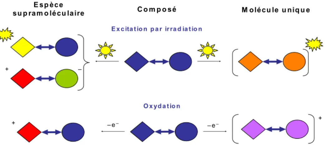 Figure II-4. Transferts d’énergie ou d’électrons au sein d’une espèce supramoléculaire vs