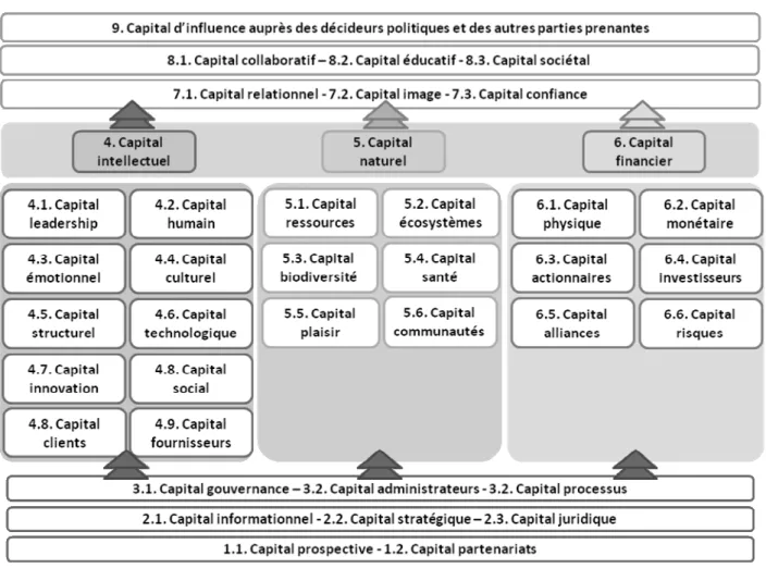 Graphique 1 – Modèle de cartographie stratégique fondé sur une typologie étendue des capitaux 