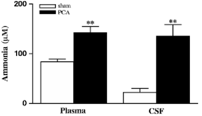 Fig. 1  Ammonia concentrations in plasma and CSF from PCA and sham-operated control rats