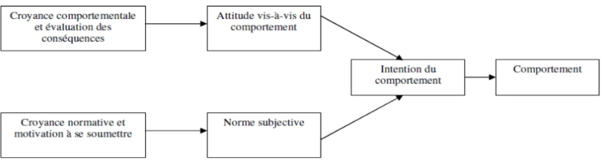 Figure 1 : Modèle de l’action raisonnée de Fishbein et Ajzen (1975) 