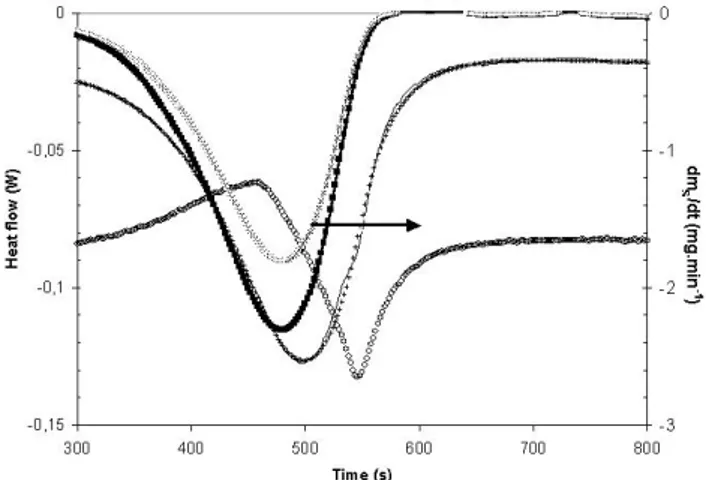 Figure 2. Time evolution for oxalate of (+) the recorded net heat flow ! N-REC