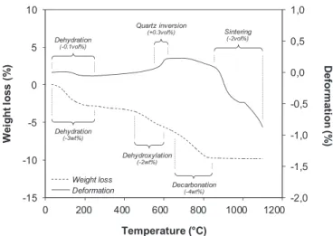 Fig. 3. Evolution of the weight loss and of the deformation of the clay-based ceramic during the heat treatment.
