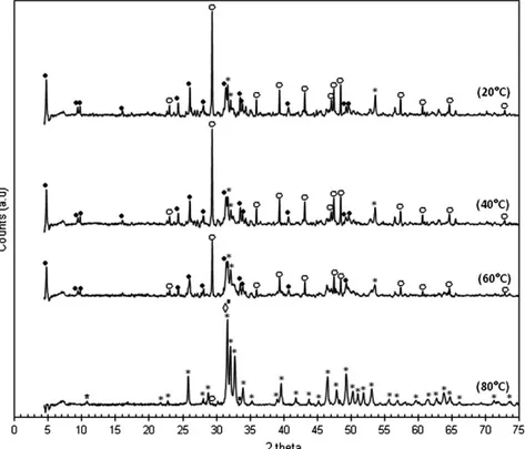 Fig. 3. XRD patterns of the solid products; (•) OCP (JCPDS standard no. 00-026-1056); (*) Ca-HA (JCPDS standard no