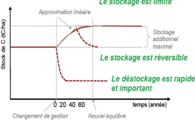 Figure 10. Cinétique de stockage de carbone  dans le sol (Source C. Chenu, 2016)  