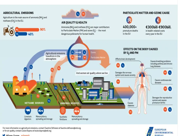 Figure 16. Chiffrages économiques des coûts sur la santé des pollutions liées à l’ammoniac et au méthane   Source : Bureau Environnemental de la Commission Européenne 