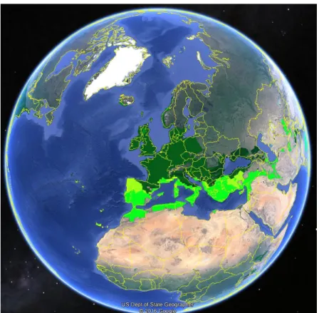 Figure 2 : Aperçu sur Google earth de la zone climatique tempérée selon la classification de Kottel et al