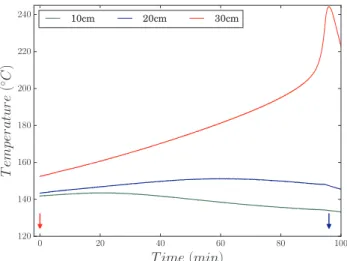 Fig. 7. Temperature evolution at diﬀerent heights (10, 20, 30 cm) during self- self-heating for Q gas + test