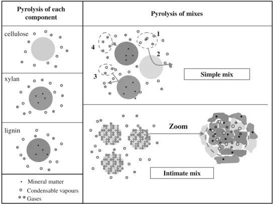 Fig. 9. Simplified schema of the pyrolysis of components taken separately and of the pyrolysis of component mixes.