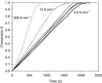 Fig. 5. SEM picture of the initial char.