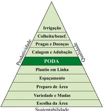 Figura . Pirâmide de produção de café conilon envolvendo as principais tecnologias.