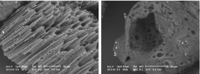 Fig. 3. Left: fibrous residue; Right: porous residue (100% N 2 ; 1073 K; solid residence time: 1.0 s).