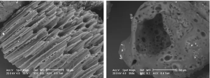 Fig. 3. Left: fibrous residue; Right: porous residue (100% N 2 ; 1073 K; solid residence time: 1.0 s).