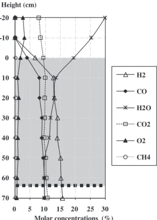 Fig. 9 shows the concentrations of axial gas species. Amounts of H 2 and CO increased rapidly in the 10 first cm to reach about 80% of their final values