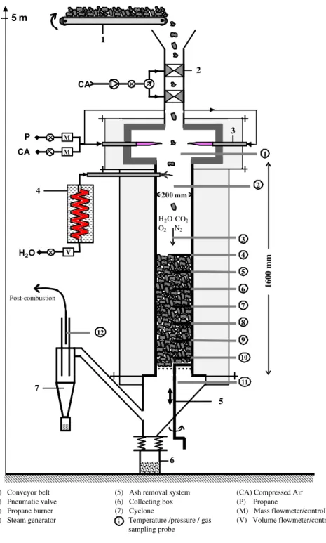 Fig. 1. The CFiB Reactor.