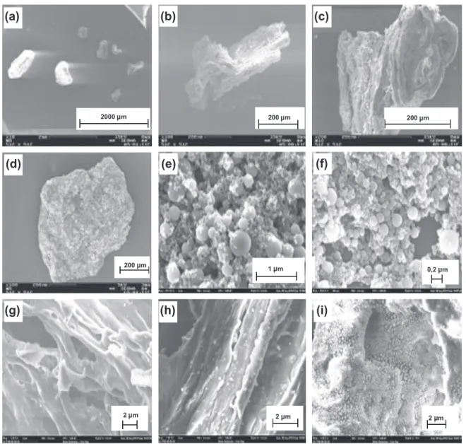 Fig. 5. Structure SEM observation of char at 1000 !C (a, b, g, h), char at 1200 !C (c), char at 1400 !C (d and i), soot at 1200 !C (e) and soot at 1400 !C (f).