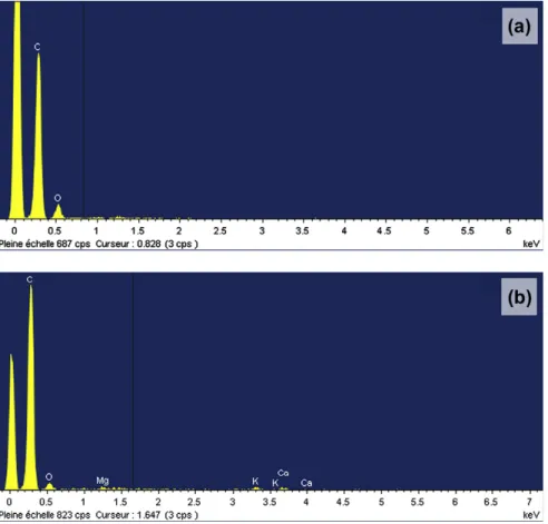 Fig. 6. XRD spectre of char particle: (a) char surface without grains and (b) char surface with grains.