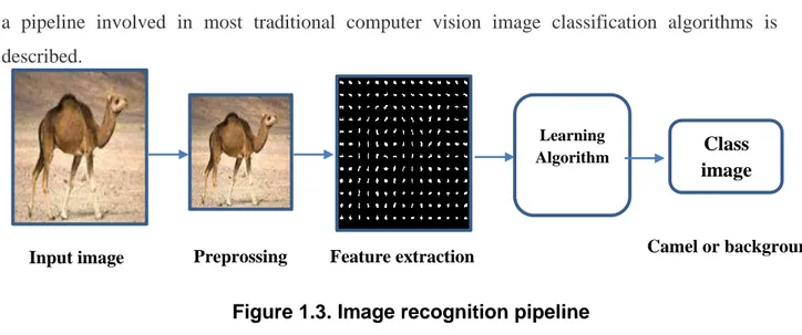 Figure 1.3. Image recognition pipeline