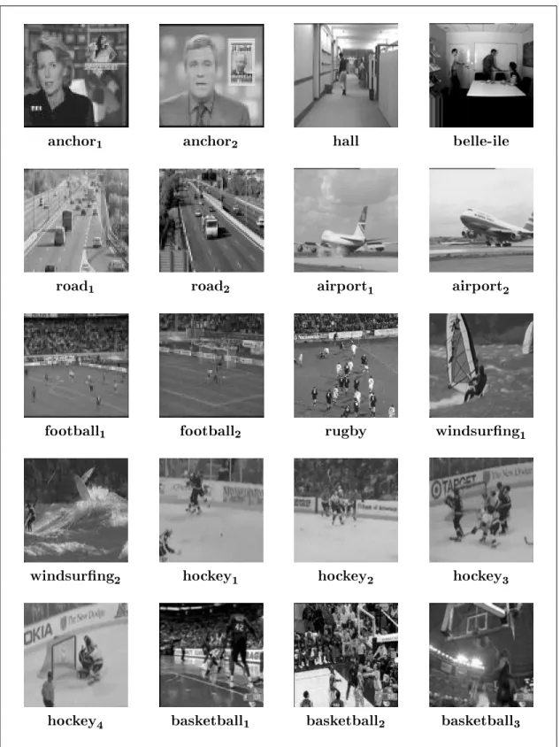 Figure 1: Set of the 20 processed video shots used to visualize an example of motion-based hierarchal classication