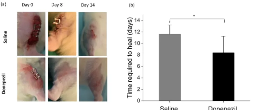 Figure 6. Time required to heal of skin wounds in donepezil and saline treated rats. (a) Photographs  showing wound healing in donepezil and saline groups for day 0, 8, and day14 postoperatively