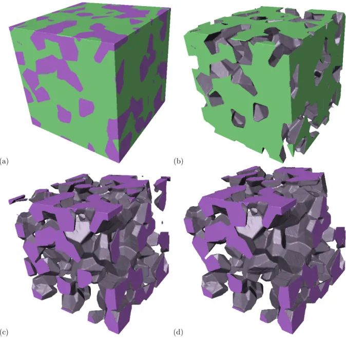 Figure 2: (a) 3D representation of the volume (two-phase material, 470 grains), (b) 3D representation of the Mg-Pv phase inside the volume, (c) 3D representation of the Mw phase inside the volume, (d) 3D representation of the interconnected part of the Mw 