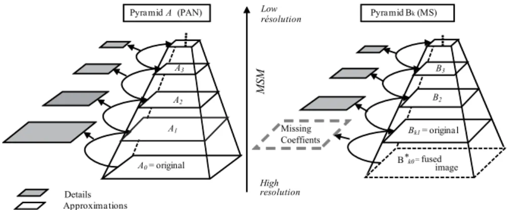 Fig. 1: Hierarchical information decomposition. MSM: multiscale model. From [16] 