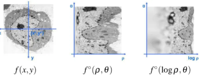 Fig. 1. Examples of polar and log-polar transformation of a grey-level image.