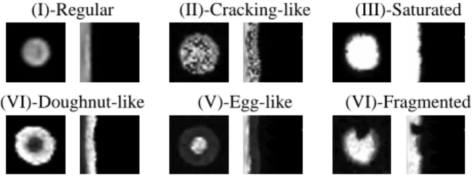 Fig. 3. Examples of spot typologies in Cartesian and polar coordinates (in image pairs, left images are depicted in Cartesian and right in polar coordinates).