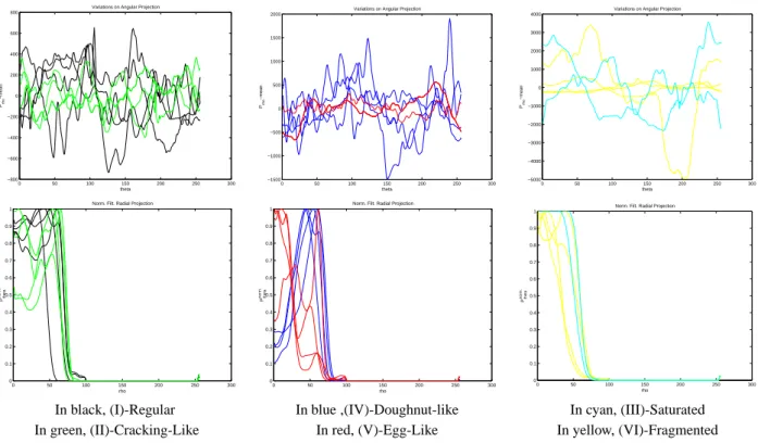 Fig. 4. Angular projections P ρ ( θ )( f i ◦ ) (top row) and radial projections P θ ( ρ )( f i ◦ ) (bottom row) for a selection of representative spots of each typology.