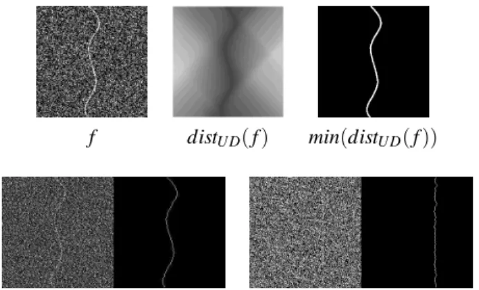 Fig. 6. Top, generalised distance function and global minimal paths. Bottom, two examples of GMP detection in very noisy images.