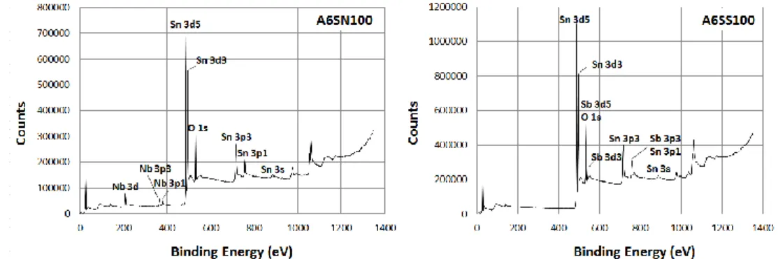 Fig. 9 XPS survey spectra obtained for SnO 2 : Nb (A6SN100), SnO 2 : Sb (A6SS100) aerogels 