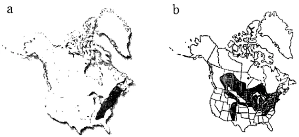 Figure  3.  Aire  de  distribution  des  deux  espèces  de  Lilium  indigènes  ciblées  par  l'étude,  soit  a)  L