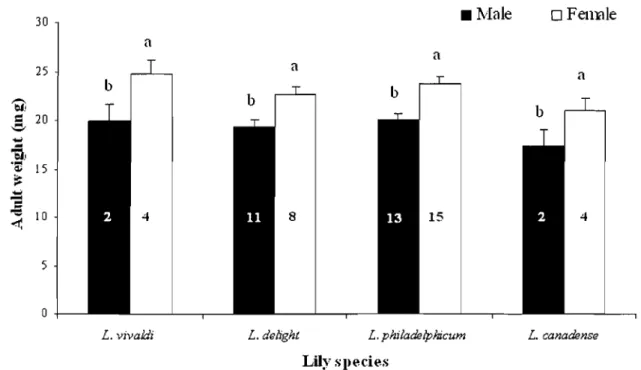 Figure  6.  Adult  fresh  weight  (mg;  X  ±  SE)  of Lilioceris  hW  males  and  females  reared  on  different  Lilium  species  at  24°  C,  60-75%  RH,  and  under  a  16L:8D  photoperiod
