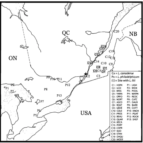Figure  7.  Location  of the  experimental  sites  where  wild  populations  of Lilium  canadense  and  1