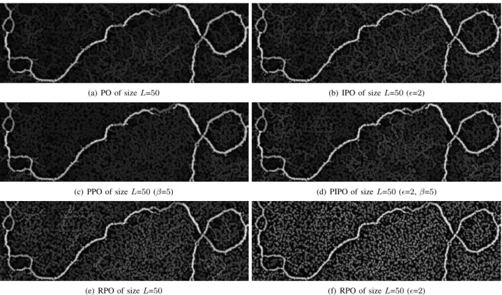 Fig. 7. Comparison between path openings (first column) with parsimonious path openings with a reconstruction step (second column) for complete or incomplete paths
