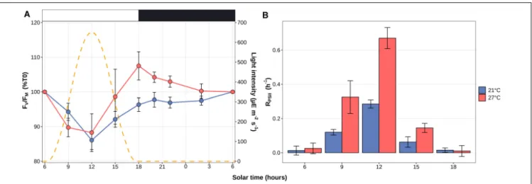 FIGURE 2 | Daily variations of the photosystem II maximal quantum yield (F V /F M ) and D1 repair rates for Synechococcus sp