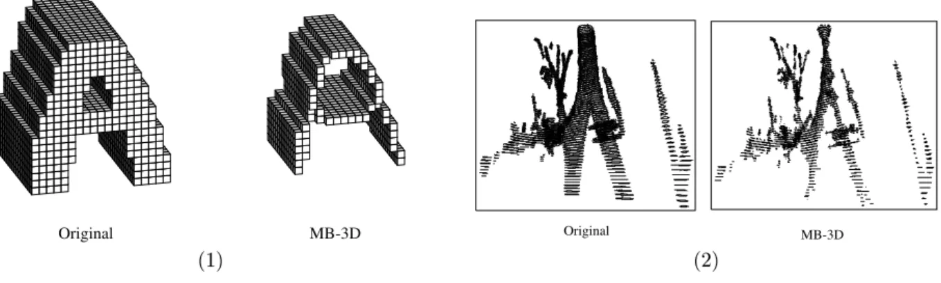 Figure 4. The results of the MB-3D algorithm: on a simple home-made 3D objet (1) and on a three-dimensional