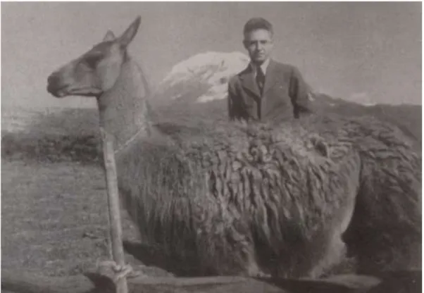 Figure 1 : Archives du  MQB, 2AP 241. « M. E. Aubert de la Rüe dans un décor typiquement  andin, en compagnie d'un lama sur les pentes du Chimborazo (6250m), le géant des volcans de  l'Equateur