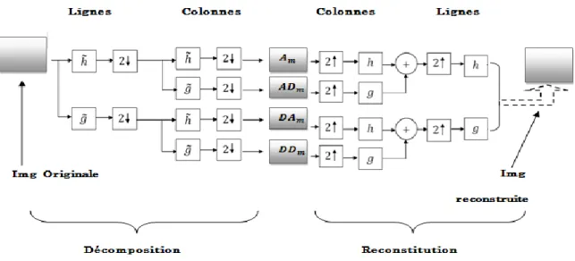 Figure II.5 : Analyse multi-résolution en 2D ( cas d'ondelettes bi-orthogonales) [32]