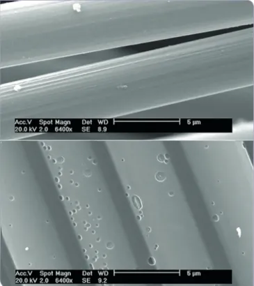 Fig. 1: SEM images of the surface of carbon fibres from RTM-6 composites  treated by steam thermolysis (top) and pyrolysis (bottom) at the same  temperature