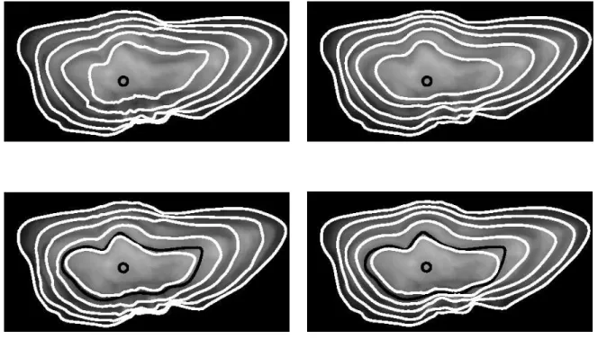 Figure 5: Reconstruction of the series of growth shapes for the pollock (Pollachius pollachius) otolith image depicted above: first row, reconstruction given the otolith center using the gradient-based (left) and AMLE (right) orientation fields; second row