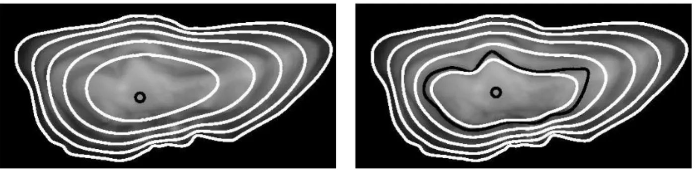 Figure 6: Reconstruction of the series of growth shapes for the pollock (Pollachius pollachius) otolith image depicted above setting γ to 0 (i.e., using only the regularization term): left, given the otolith center; right, given the otolith center and the 