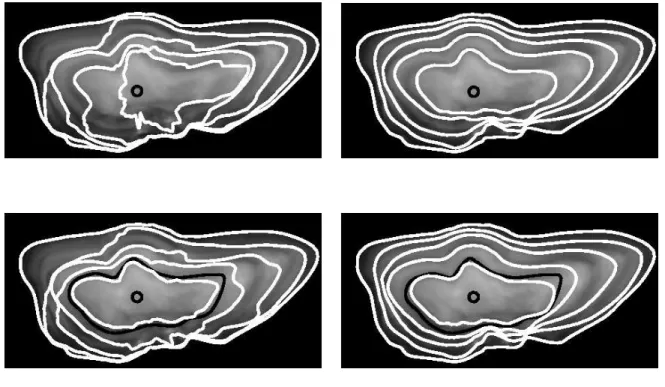 Figure 7: Reconstruction of the series of growth shapes for the pollock (Pollachius pollachius) otolith image depicted above setting γ to 1 (i.e., using only the data-driven term): first row, results are obtained knowing the position of the growth center u