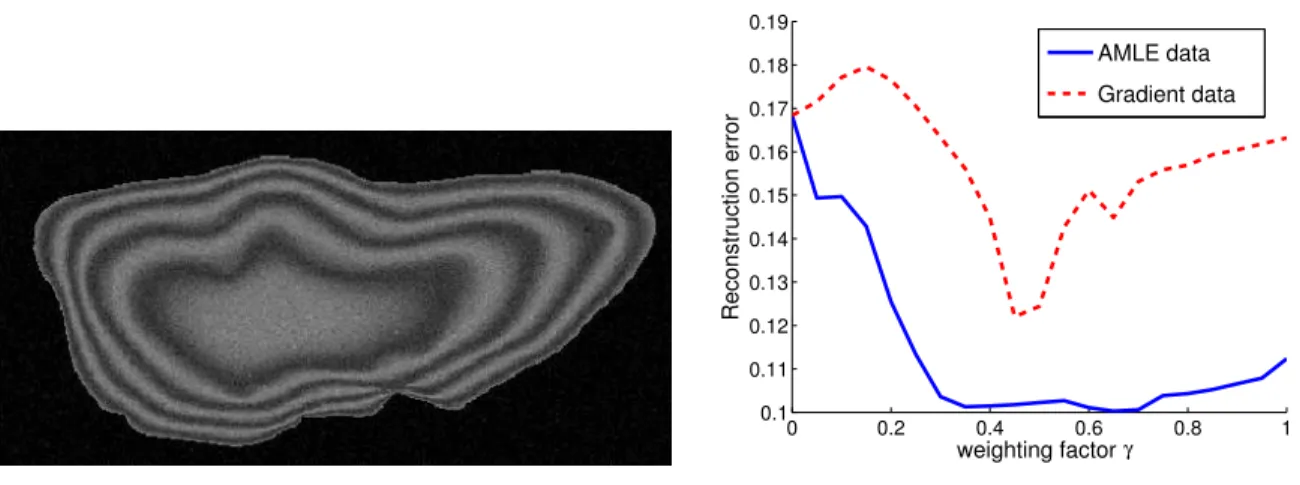 Figure 8: Influence of the weighting factor γ on the reconstruction error for a synthetic otolith image: left, noisy synthetic otolith image; right, reconstruction error using gradient-based and AMLE orientation field as a function of the weighting factor 